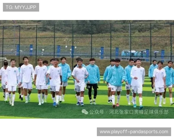 张家口足球协会十大球星崛起 他们如何在全国赛场上展现风采